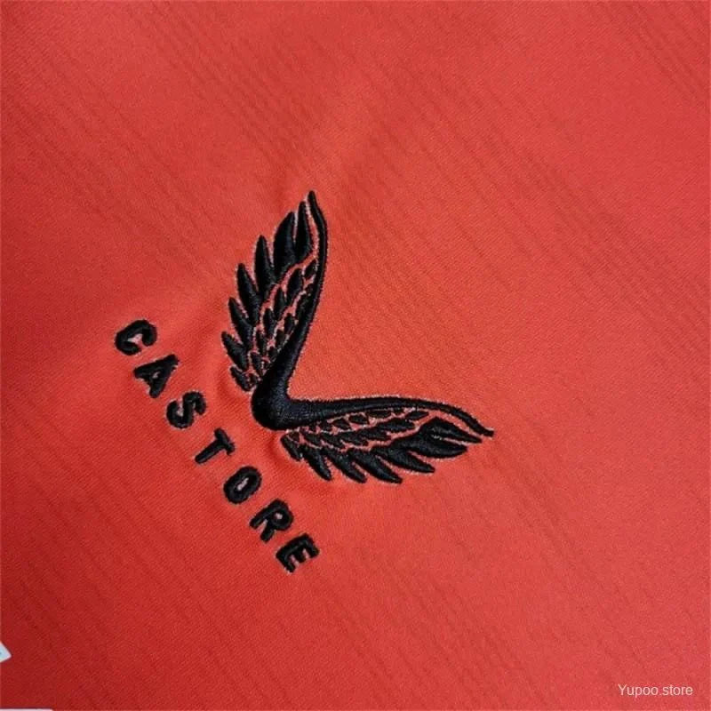 2024/2025 Feyenoord Rotterdam Home Jersey - Fan Version