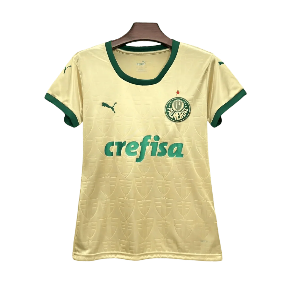 2024/2025 Palmeiras Women Third kit - Fan version