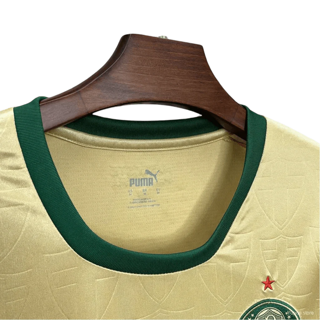 2024/2025 Palmeiras Women Third kit - Fan version