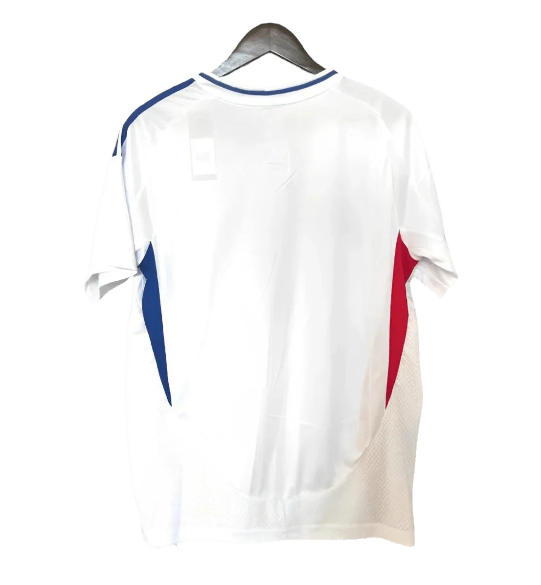 24-25 Olympique Lyonnais Lyon Home kit - Fan version - Goatkits Store