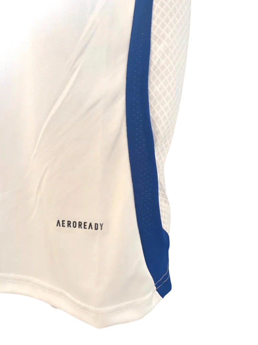 24-25 Olympique Lyonnais Lyon Home kit - Fan version - Goatkits Store