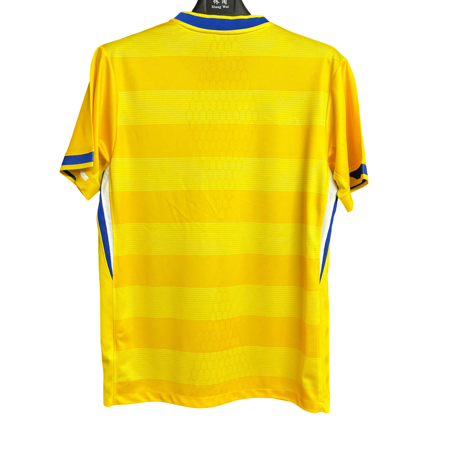 Brighton & Hove Albion F.C. jersey - 2024 Limited Edition Fan version