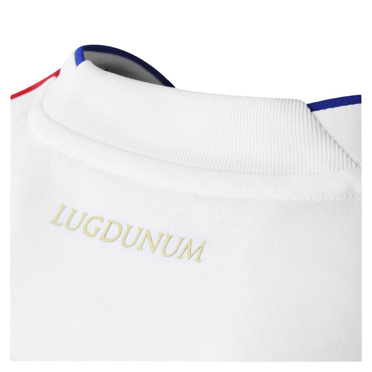 Olympique Lyonnais Lyon Home kit - 2025/2026 Fan version