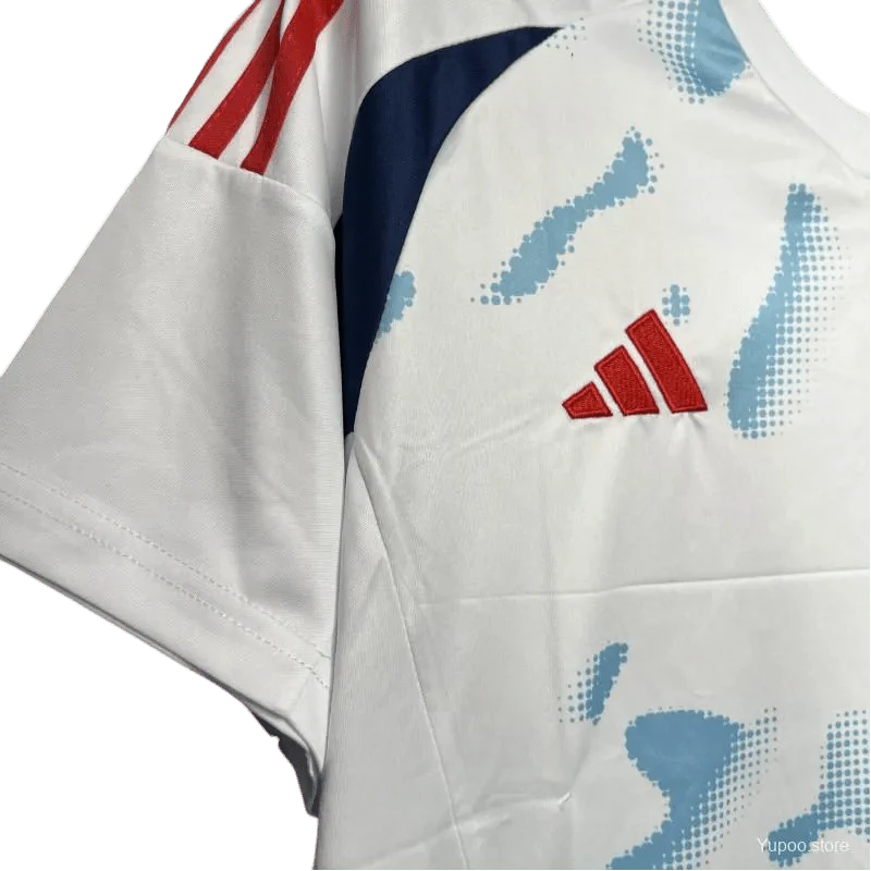 2024 Costa Rica Soccer Jersey Away - Fan Version