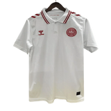 2024 Denmark Soccer Jersey Away - Fan Version