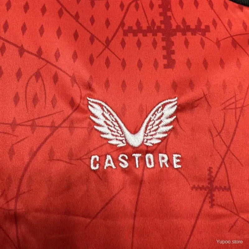 2024/2025 Bayer 04 Leverkusen Home jersey - Fan Version