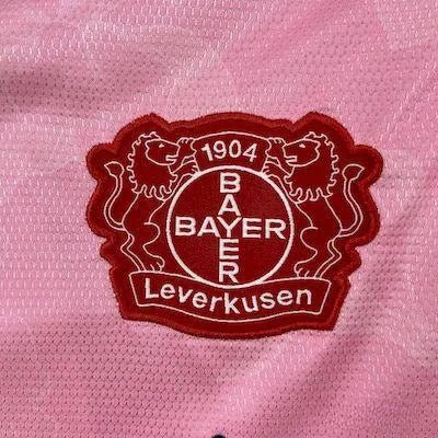Bayer 04 Leverkusen Away jersey - 2025/2026 Fan Version