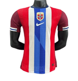 Norway Soccer Jersey - 2024 Home Player Version
