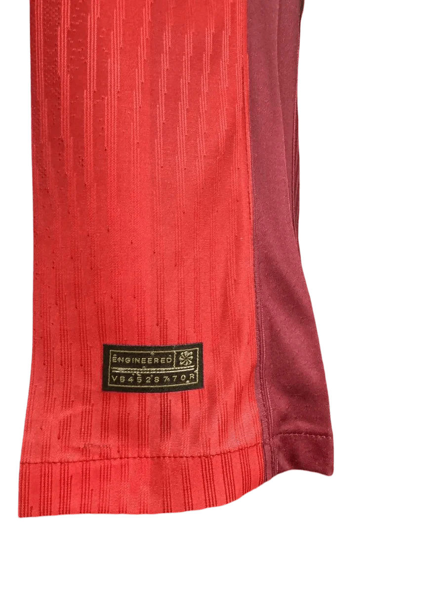 Norway Soccer Jersey - 2024 Home Player Version